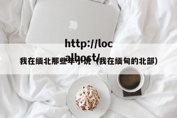 我在缅北那些年小说(我在缅甸的北部)